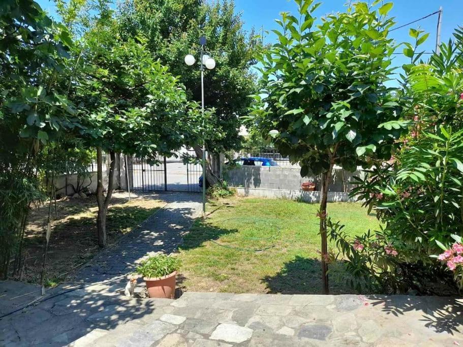 Blue Studio Nea Michaniona Exterior photo